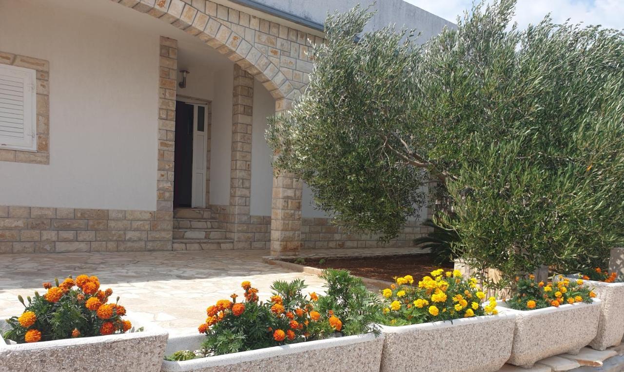Villa Senka Nečujam Zewnętrze zdjęcie