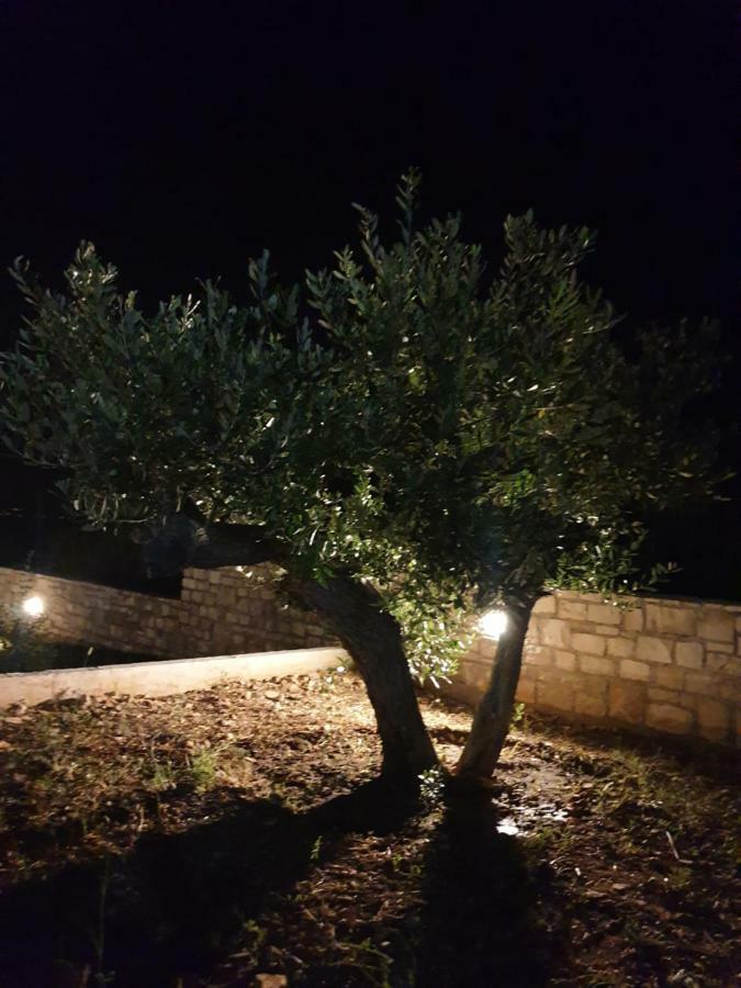 Villa Senka Nečujam Zewnętrze zdjęcie
